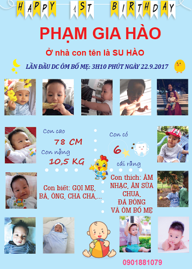 Bảng thông tin sinh nhật bé (16)