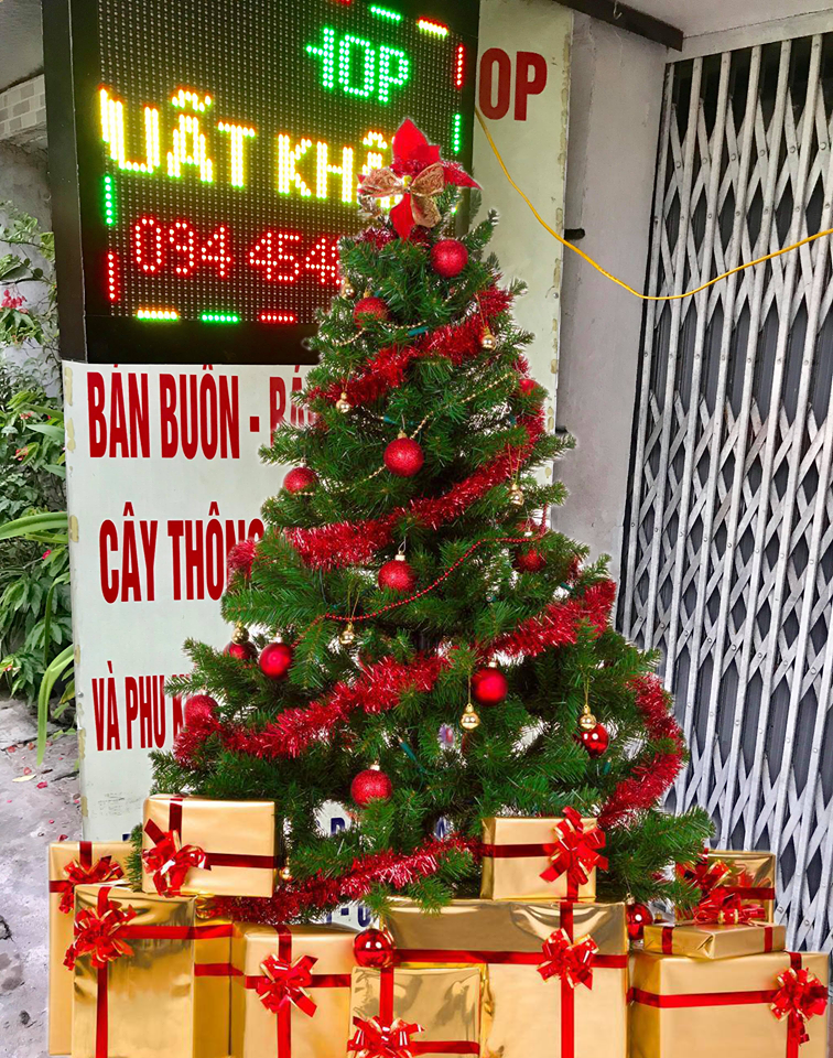 Cây Thông Noel (2)